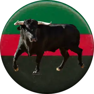 A powerful black bull with curved horns standing in front of a circular background with green, red, and black colors.