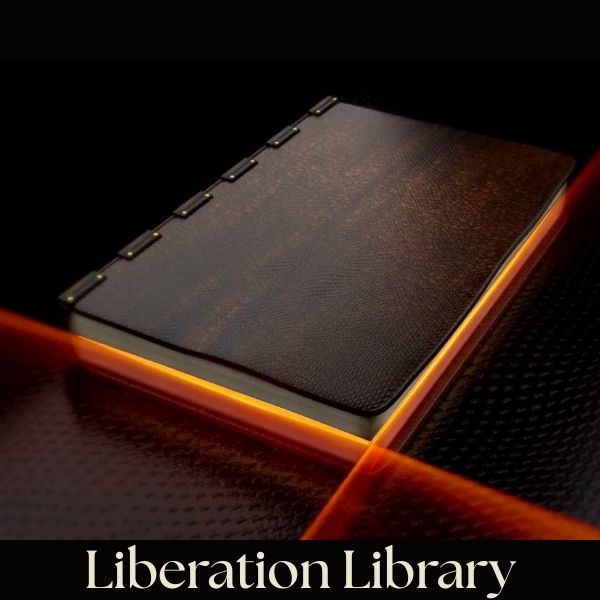 Bookshelf with a closed dark brown leather-bound book and warm glowing light creating an inviting biblical aesthetic.